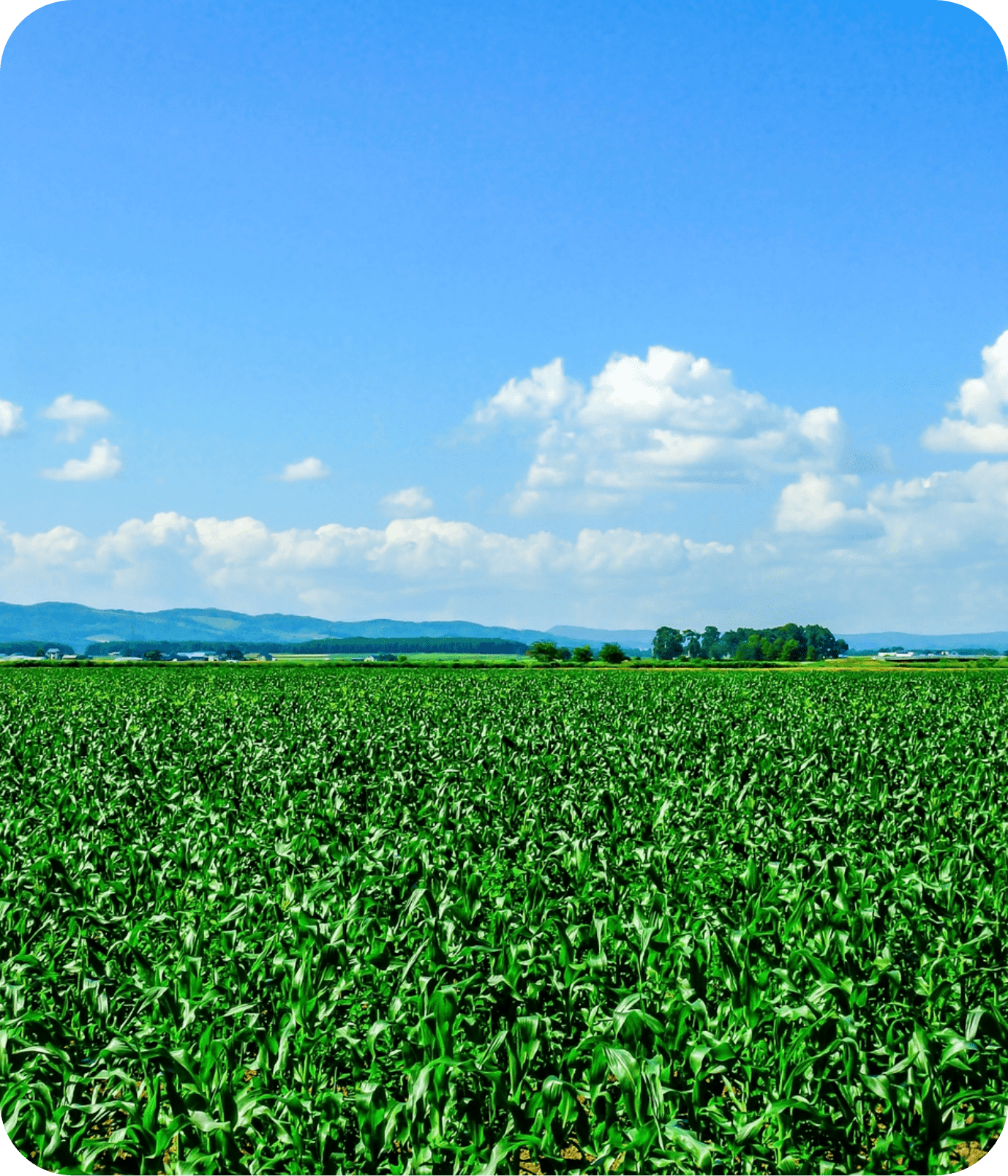 北海道剣淵町の魅力